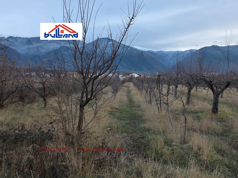 Продава ПАРЦЕЛ, с. Самораново, област Кюстендил, снимка 5 - Парцели - 53269594