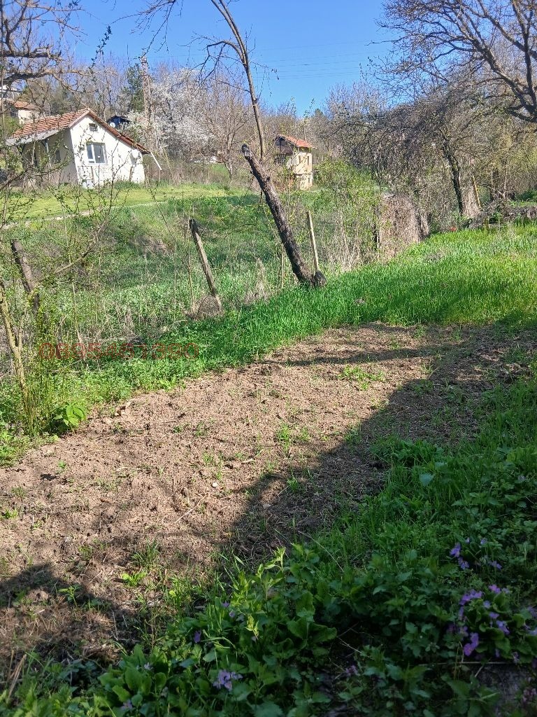 Продава ПАРЦЕЛ, гр. Разград, Промишлена зона - Запад, снимка 2 - Парцели - 54320717