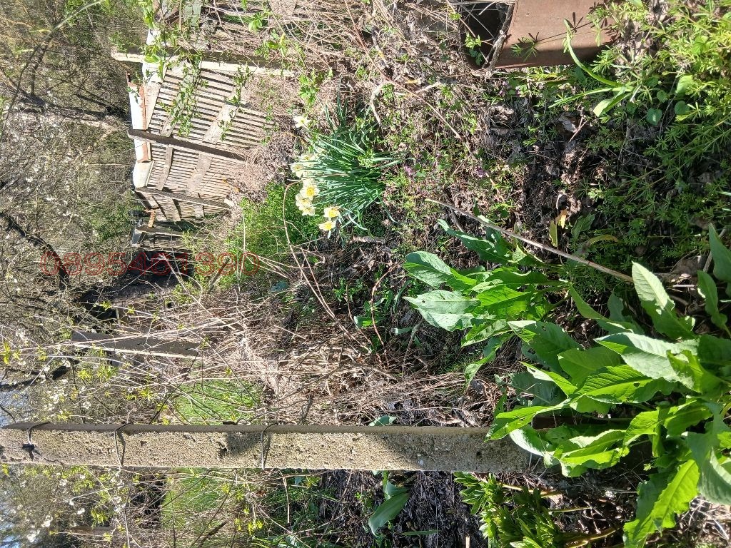 Продава ПАРЦЕЛ, гр. Разград, Промишлена зона - Запад, снимка 5 - Парцели - 54320717