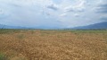 Продава ЗЕМЕДЕЛСКА ЗЕМЯ, гр. Сопот, област Пловдив, снимка 1