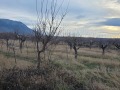 Продава ПАРЦЕЛ, с. Самораново, област Кюстендил, снимка 4