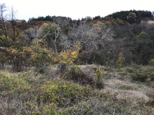 ������� ������ | Imot.bg � ����������� 2