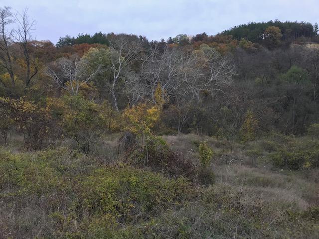 ������� ������ | Imot.bg � ����������� 3