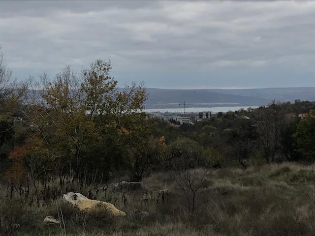 ������� ������ | Imot.bg � ����������� 4