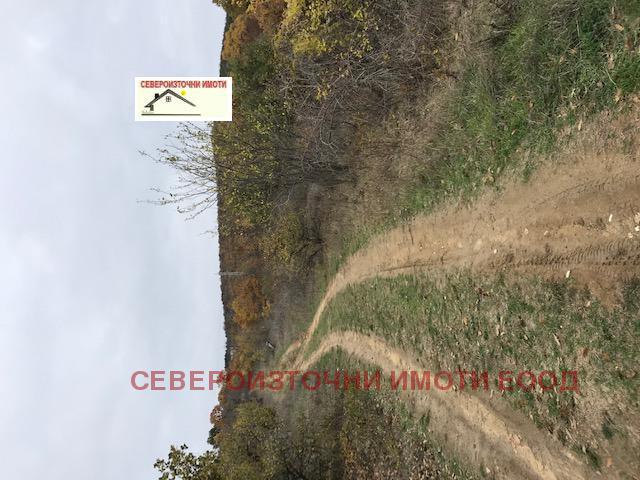 ������� ������ | Imot.bg � ����������� 5