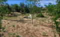 Продава ПАРЦЕЛ, с. Боровец, област Кюстендил, снимка 4