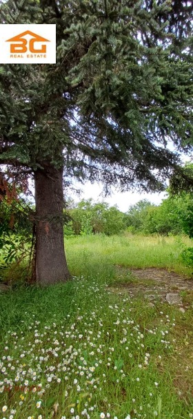 ����� ������� ������,�. ���������, ������ ������