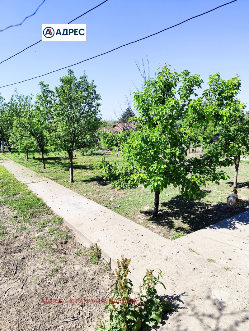 For Sale  Plot region Pleven , Zhernov , 1230 sq.m | 60044090 - image [7]