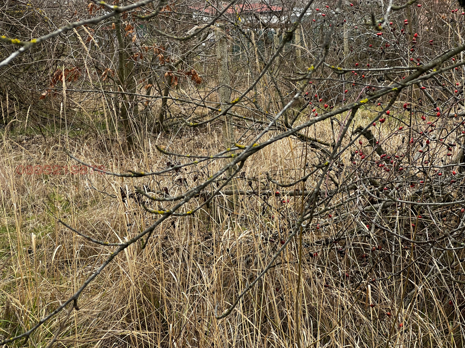 Продава ПАРЦЕЛ, гр. Варна, м-т Боровец - север, снимка 5 - Парцели - 53660054