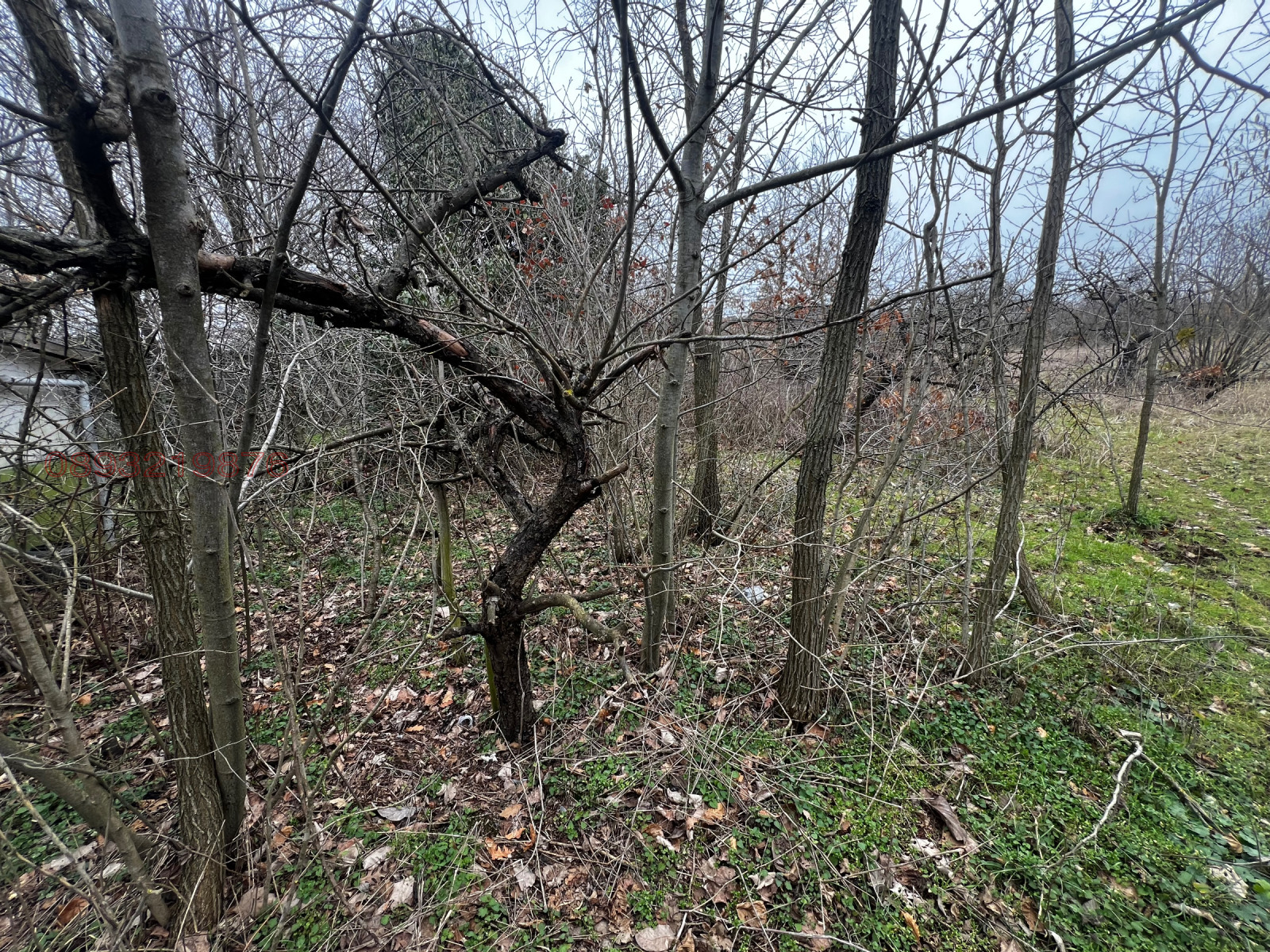 Продава ПАРЦЕЛ, гр. Варна, м-т Боровец - север, снимка 7 - Парцели - 53660054