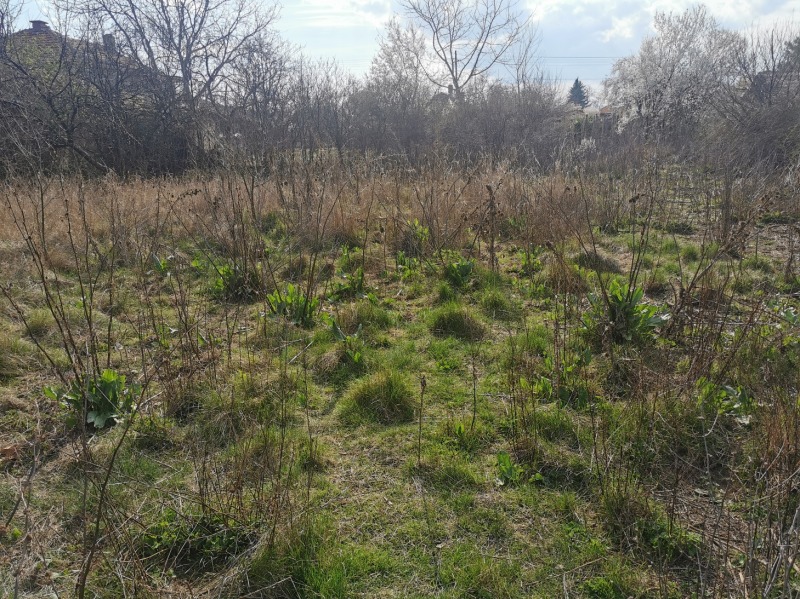 In vendita  Complotto regione Stara Zagora , Shanovo , 1250 mq | 17484283 - Immagine [5]