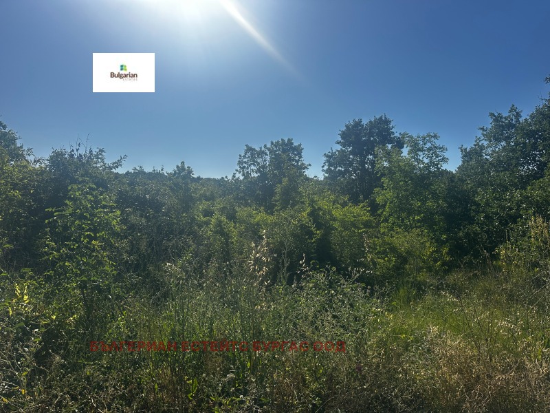 Na prodej  Spiknutí oblast Burgas , Sozopol , 3000 m2 | 28188626 - obraz [4]