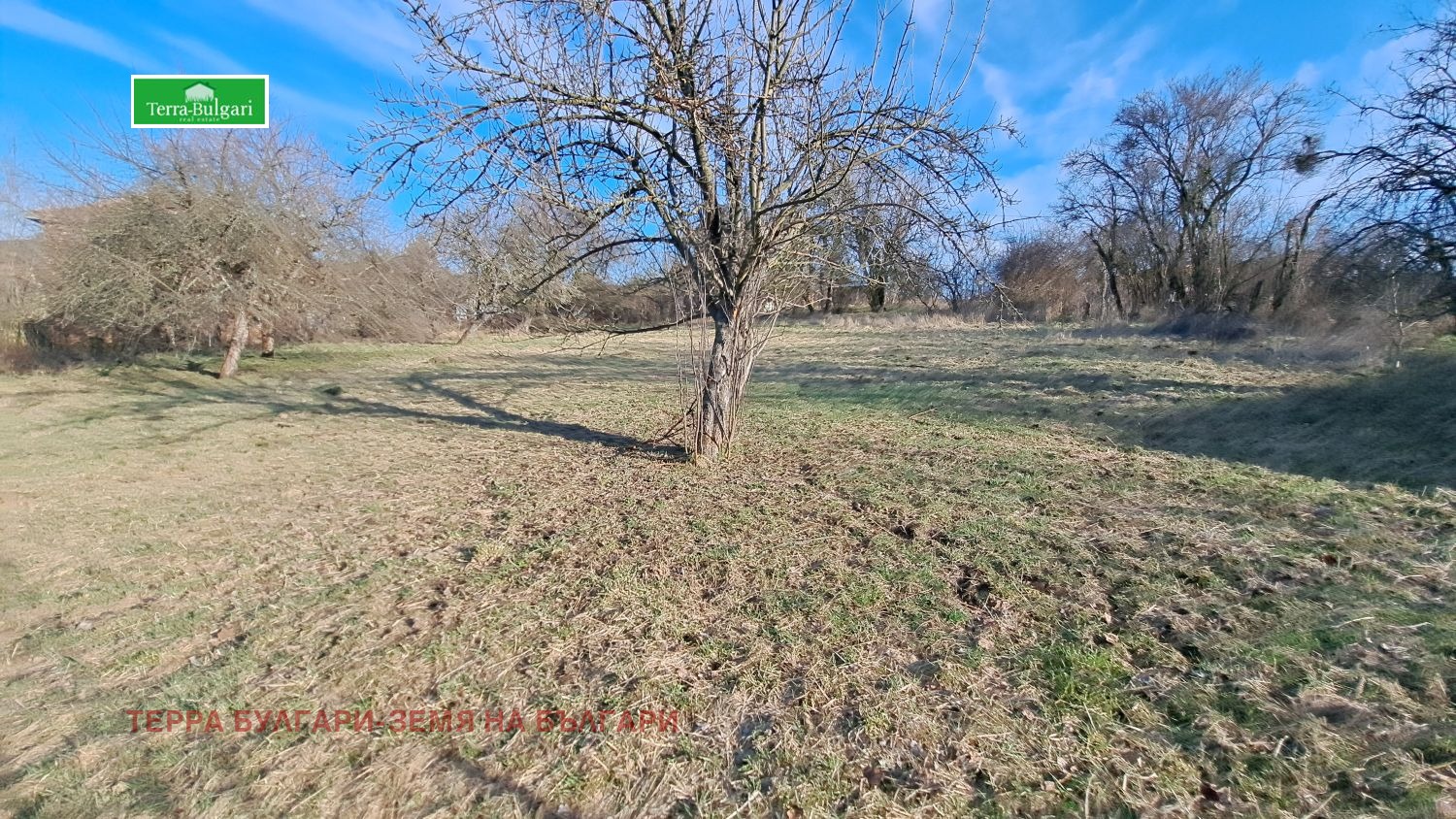 ������� ������ | Imot.bg � ����������� 12