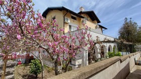 ������ ������� ����