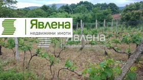 ������� ���� | Imot.bg � ����� ������ 14
