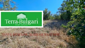 ������� ������ | Imot.bg � ����� ������ 8