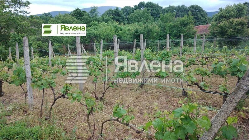 Продава КЪЩА, с. Изгрев, област Бургас, снимка 14 - Къщи - 54769079