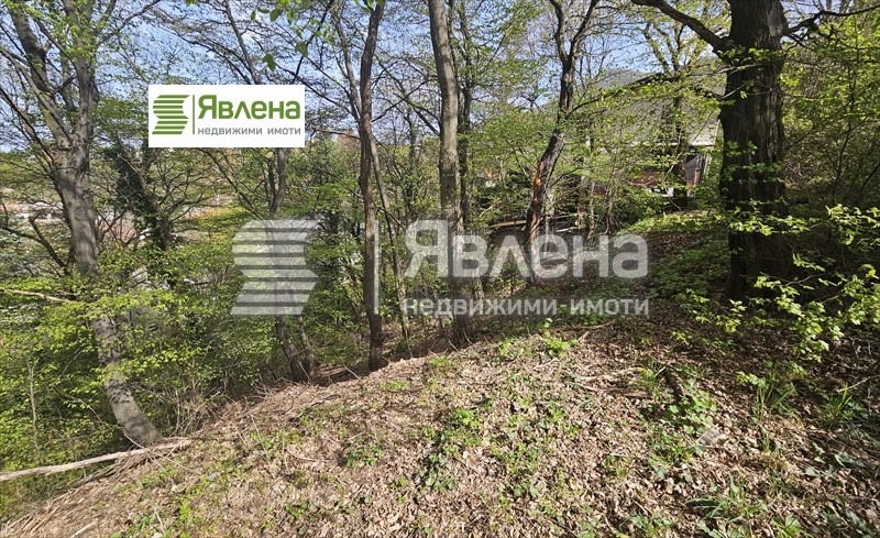 In vendita  Complotto Sofia , v.z.Kiliite , 1180 mq | 25207219 - Immagine [4]