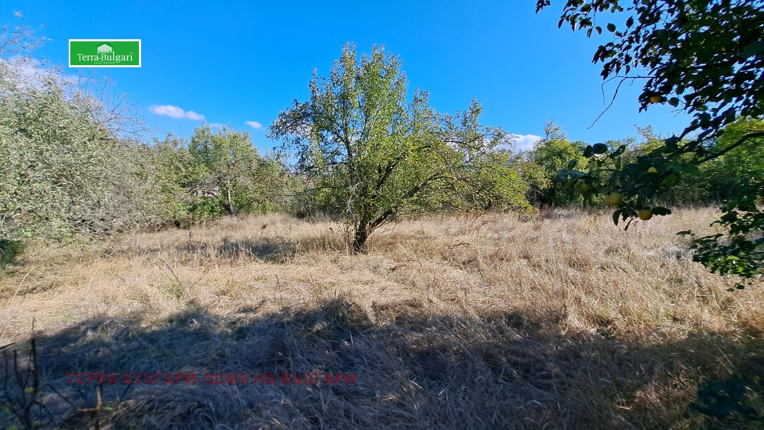 Продава ПАРЦЕЛ, с. Витановци, област Перник, снимка 3 - Парцели - 53711628