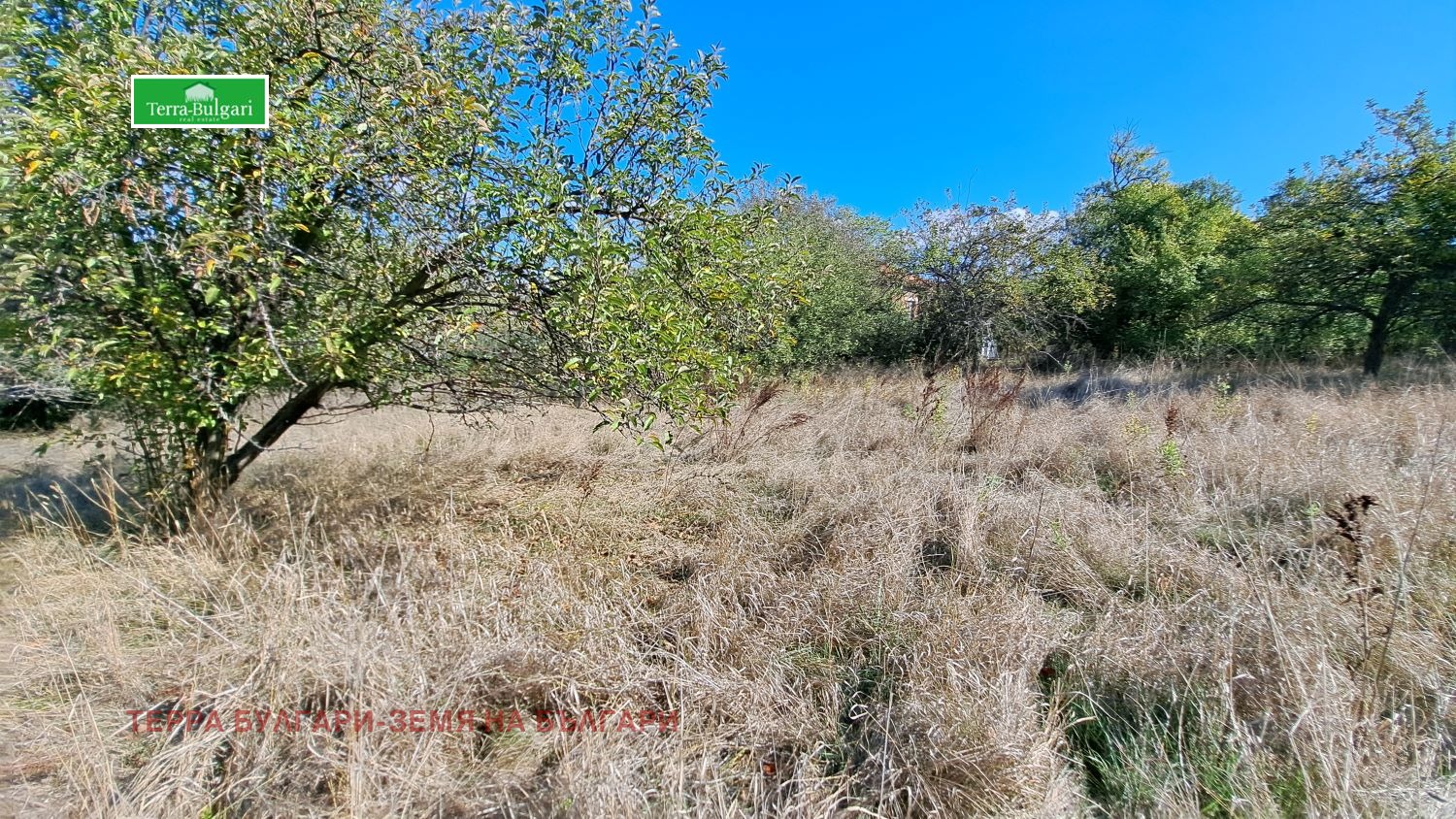 Продава ПАРЦЕЛ, с. Витановци, област Перник, снимка 2 - Парцели - 53711628