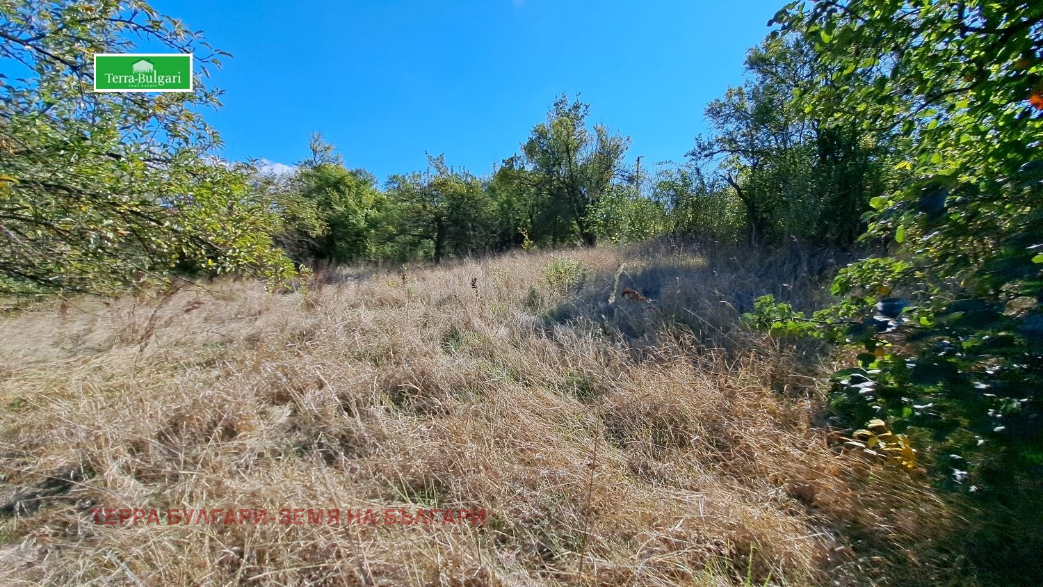 Продава ПАРЦЕЛ, с. Витановци, област Перник, снимка 4 - Парцели - 53711628