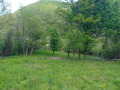 Продава ПАРЦЕЛ, с. Балканец, област Ловеч, снимка 3