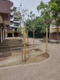 Продава 3-СТАЕН, град София, Люлин 9 • 230000 € • 38855480 — Holmes.bg