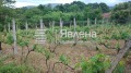 Продава  Къща област Бургас , с. Изгрев , 110 кв.м | 78634136 - изображение [14]