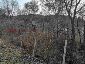 ����� ������� ������,���� �����, �. �����