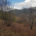 Продава КЪЩА, гр. Бобошево, област Кюстендил, снимка 2