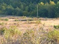 Продава ЗЕМЕДЕЛСКА ЗЕМЯ, гр. Петрич, област Благоевград, снимка 1