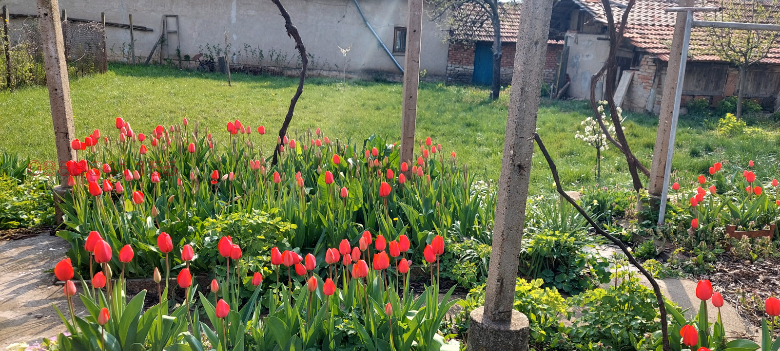 ������� ���� | Imot.bg � ����������� 1