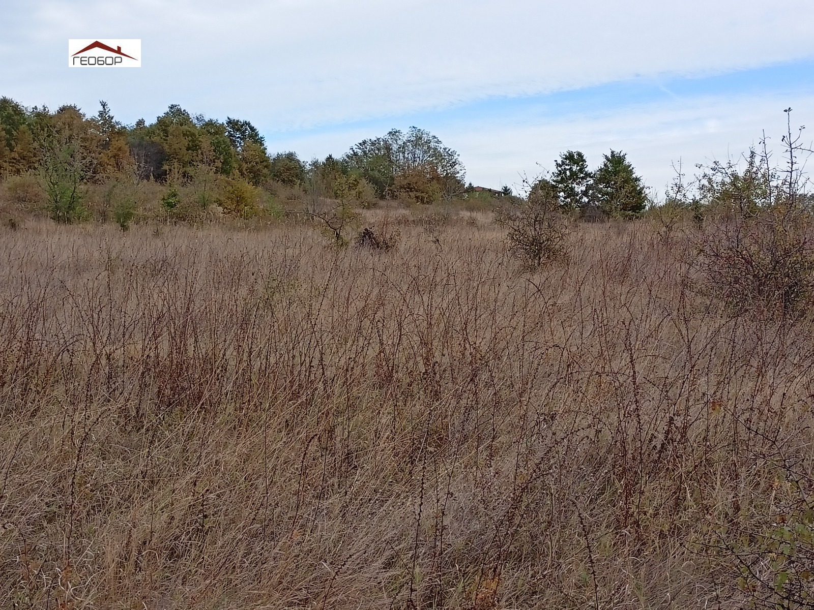 ������� ������ | Imot.bg � ����������� 3