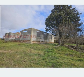 ������ ������� ������