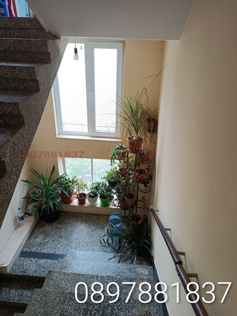 Продава 2-СТАЕН, гр. Силистра, Митница, снимка 5 - Апартаменти - 52784802