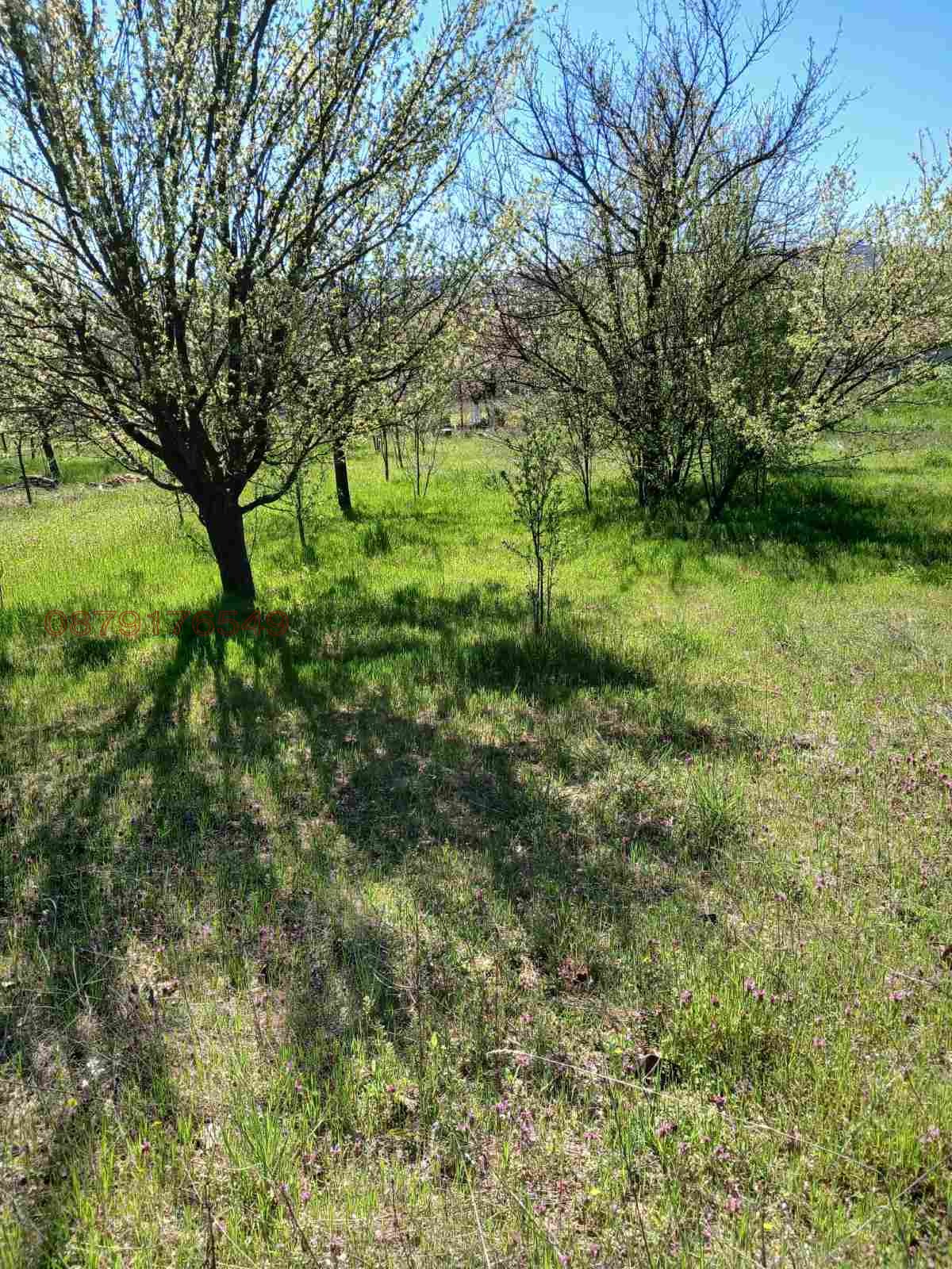 Продава ПАРЦЕЛ, с. Първомайци, област Велико Търново, снимка 3 - Парцели - 54157902