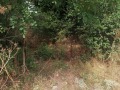Продава ПАРЦЕЛ, с. Богдан, област Добрич, снимка 3