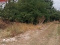 Продава ПАРЦЕЛ, с. Богдан, област Добрич, снимка 2