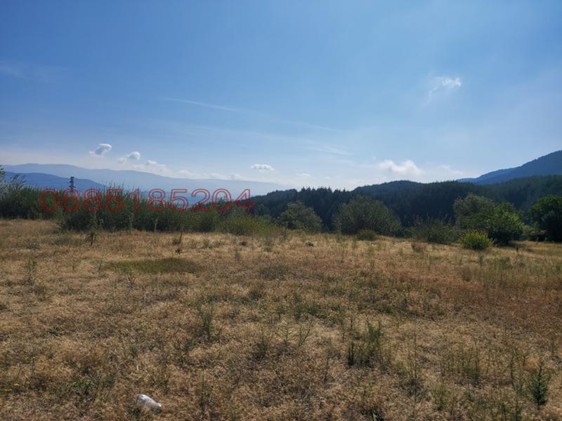 ������� ������ | Imot.bg � ����������� 7