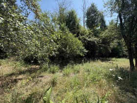 ������� ������ | Imot.bg � ����� ������ 2