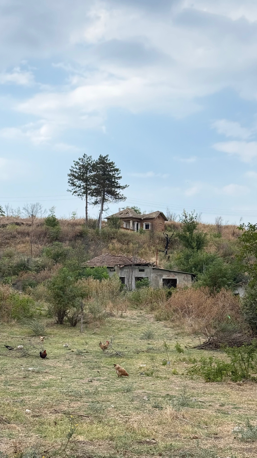 Продава КЪЩА, с. Бръшляница, област Плевен