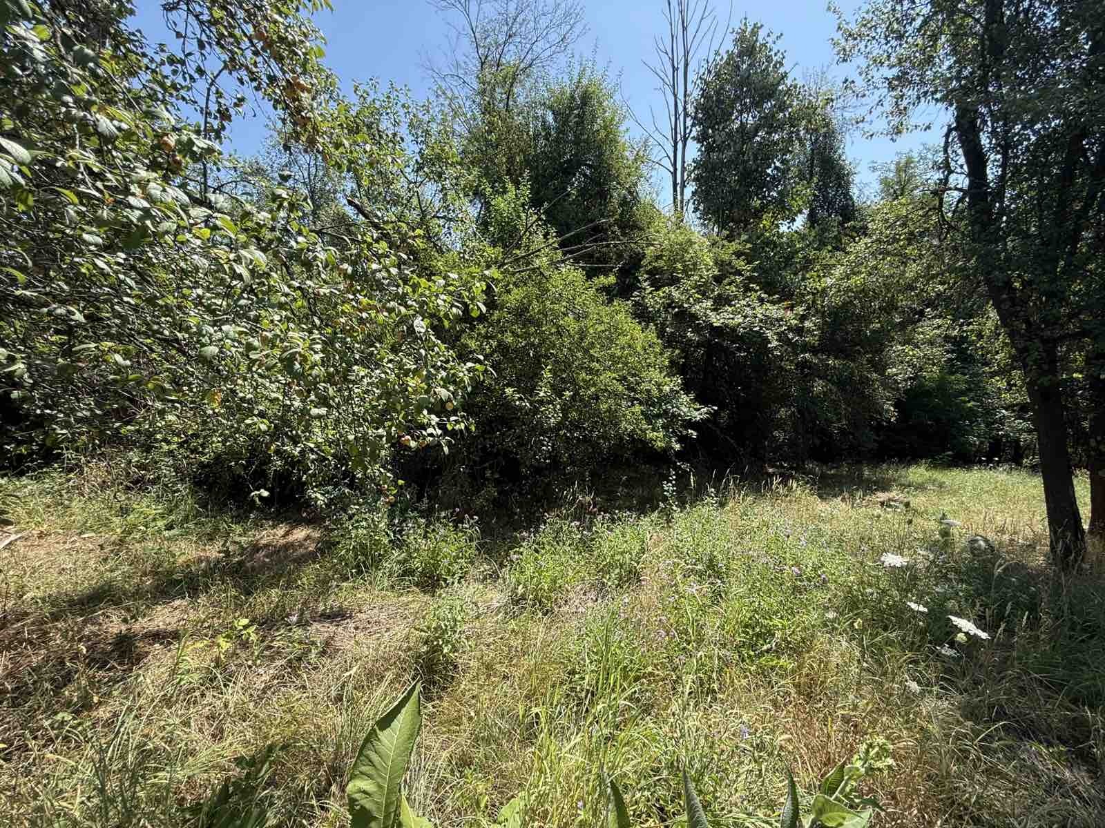 Продава ПАРЦЕЛ, с. Пецовци, област Габрово, снимка 2 - Парцели - 55843764