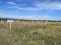 Продава ПАРЦЕЛ, гр. Черноморец, област Бургас, снимка 2
