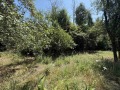Продава ПАРЦЕЛ, с. Пецовци, област Габрово, снимка 2