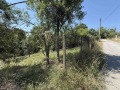 Продава ПАРЦЕЛ, с. Пецовци, област Габрово, снимка 6