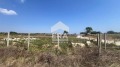 Продава ПАРЦЕЛ, град Варна, м-т Прибой • 58000 € • 14960009 — Holmes.bg