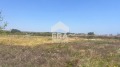 Продава ПАРЦЕЛ, град Варна, м-т Прибой • 58000 € • 14960009 — Holmes.bg