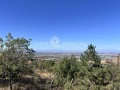 Продава ПАРЦЕЛ, област Пловдив, с. Марково • 35000 € • 49231538 — Holmes.bg