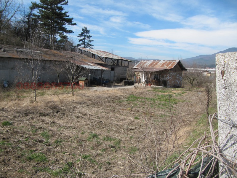 Продава ЗЕМЕДЕЛСКА ЗЕМЯ в област Пазарджик, гр. Велинград - 3.113 дка / При запитване