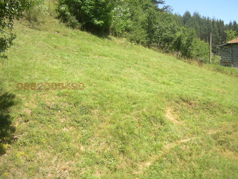 Продава ПАРЦЕЛ, гр. Рудозем, област Смолян